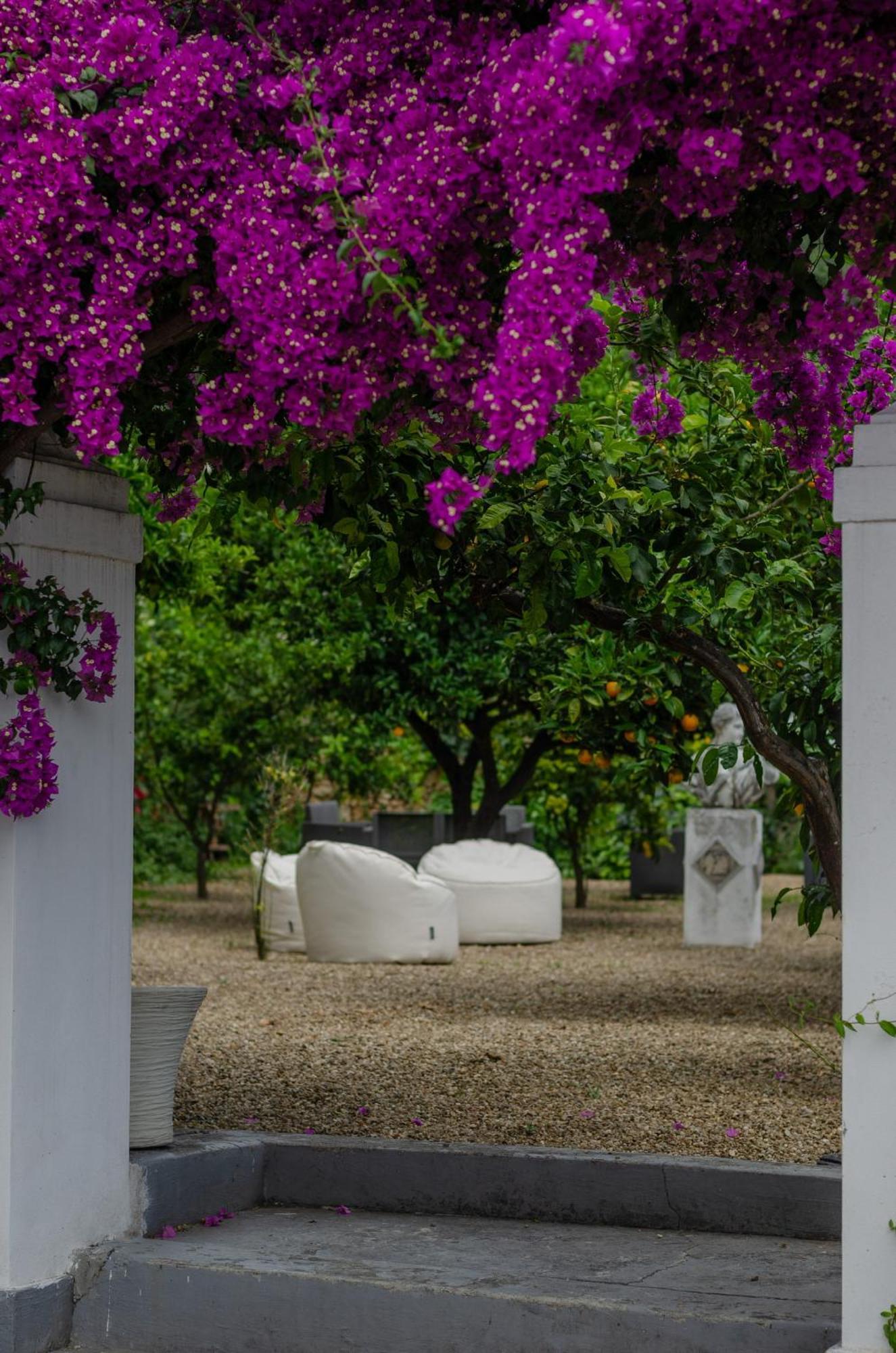 Agriturismo Giorgio Mattinata Exterior foto